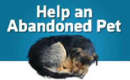 Help an abandoned pet