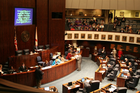 Senate