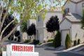 Real Estate Investing