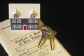 Foreclosure Crisis