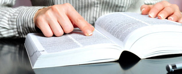 Woman Reading a Glossary