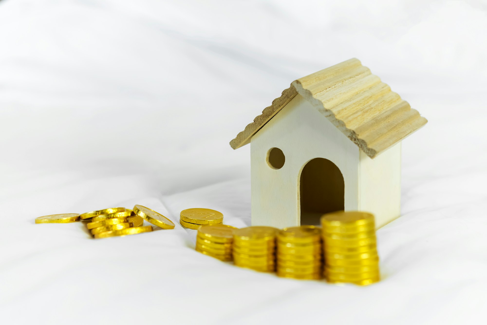 Investing in Property Tax Liens