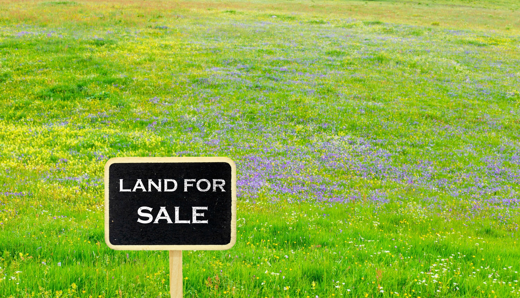 'Sale' sign standing on a grassy field with flowers.